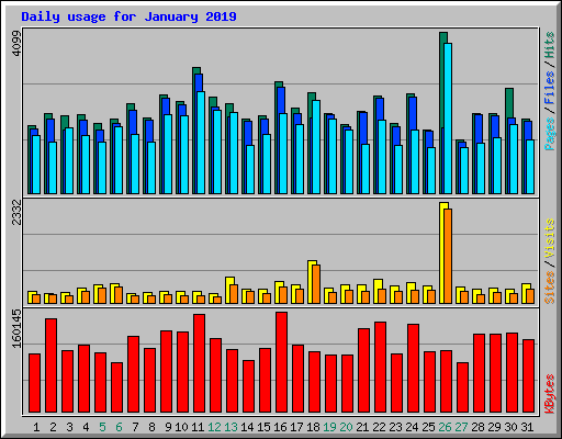 Daily usage for January 2019