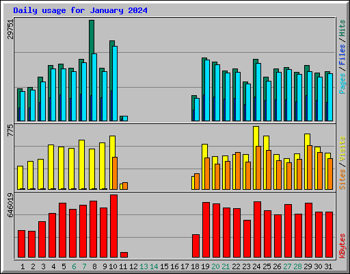 Daily usage for January 2024