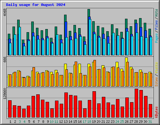 Daily usage for August 2024