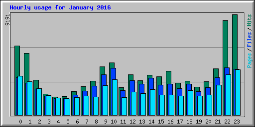 Hourly usage for January 2016