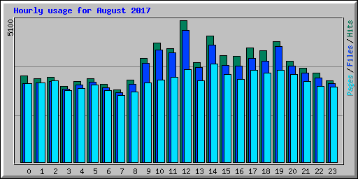 Hourly usage for August 2017