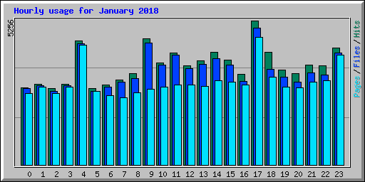 Hourly usage for January 2018