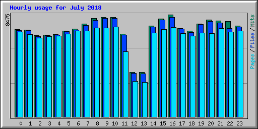 Hourly usage for July 2018