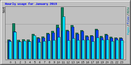 Hourly usage for January 2019