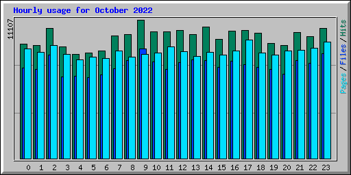 Hourly usage for October 2022