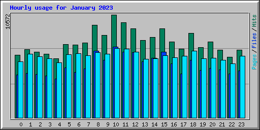 Hourly usage for January 2023