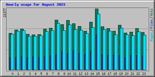 Hourly usage for August 2023