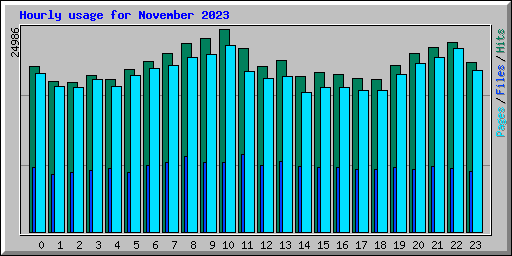 Hourly usage for November 2023