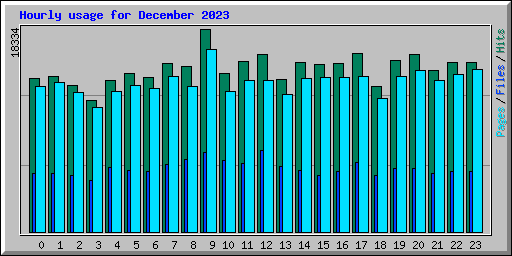 Hourly usage for December 2023