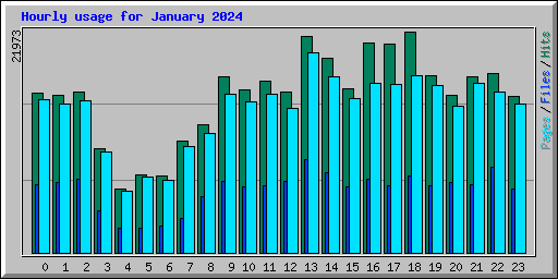 Hourly usage for January 2024