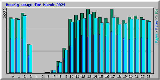 Hourly usage for March 2024