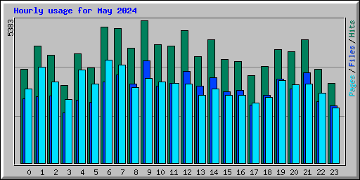 Hourly usage for May 2024