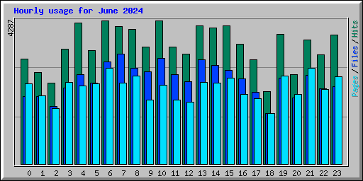 Hourly usage for June 2024