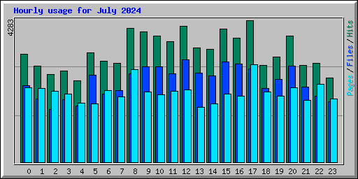 Hourly usage for July 2024