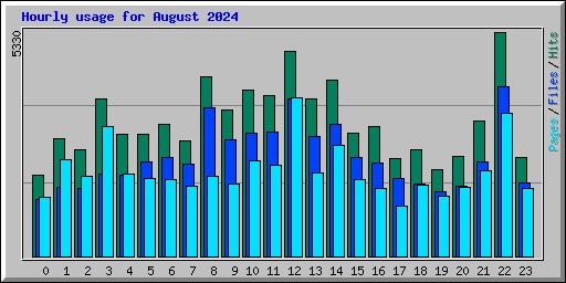 Hourly usage for August 2024