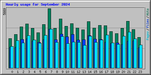 Hourly usage for September 2024