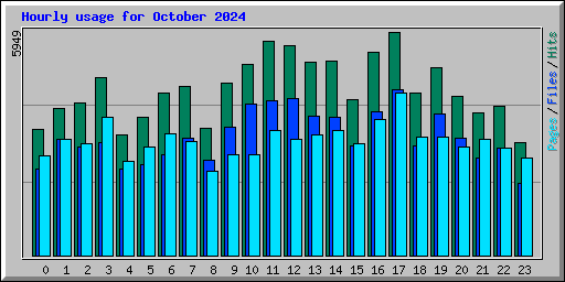 Hourly usage for October 2024