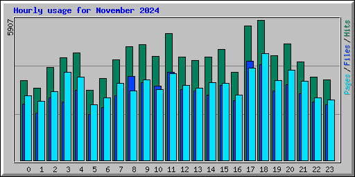 Hourly usage for November 2024